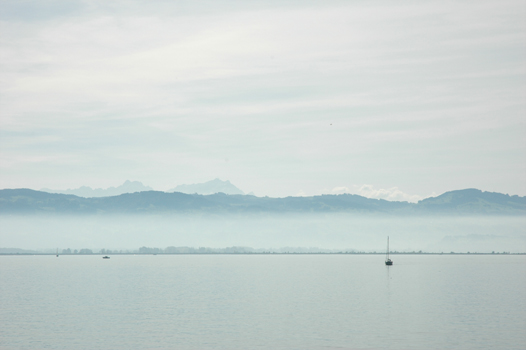 scatto_nature_bodensee im nebel